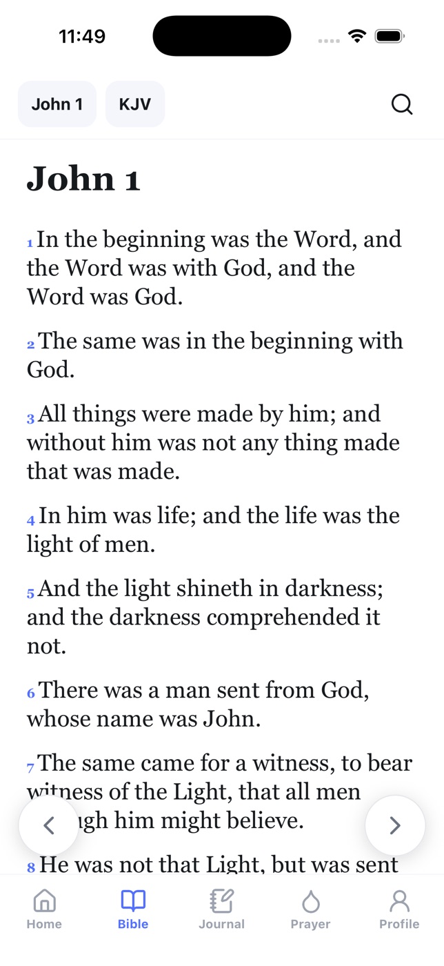 The Bible reader showing John 1 in the King James Version